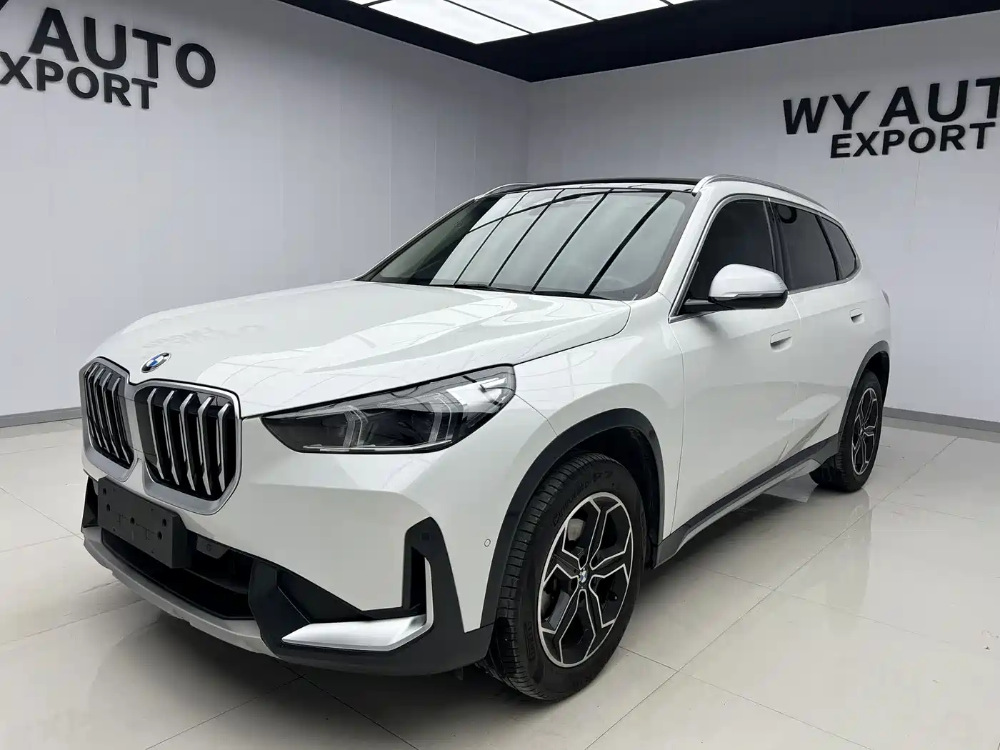 BMW X1 2023 sDrive20Li X Design Package
