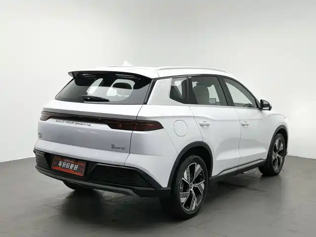 BYD Song Pro New Energy 2023 Champion Edition DM-i 110KM Excellence — фото 2