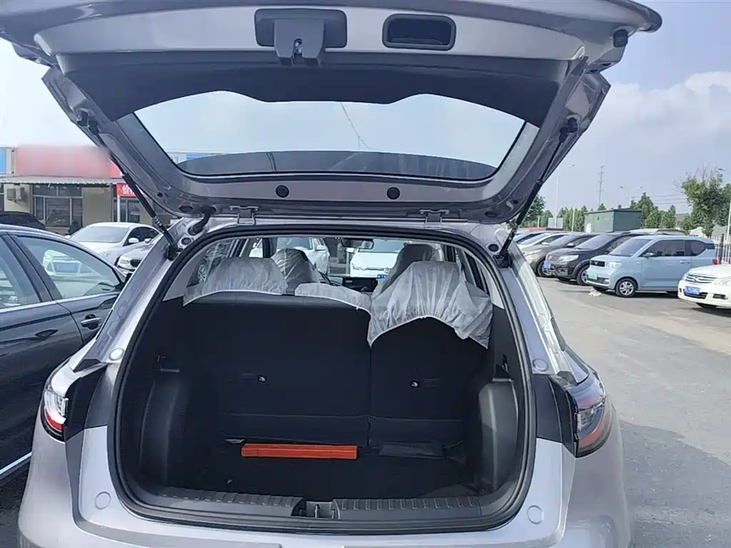 Geely Galaxy Starry Wish 2026 Edition 310km Youth Version фото 19