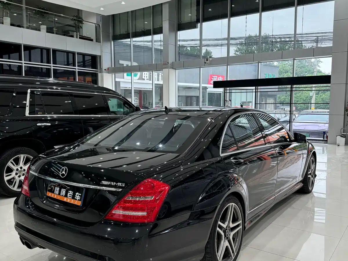 Mercedes-Benz S-Class AMG 2010 AMG S 65 фото 6