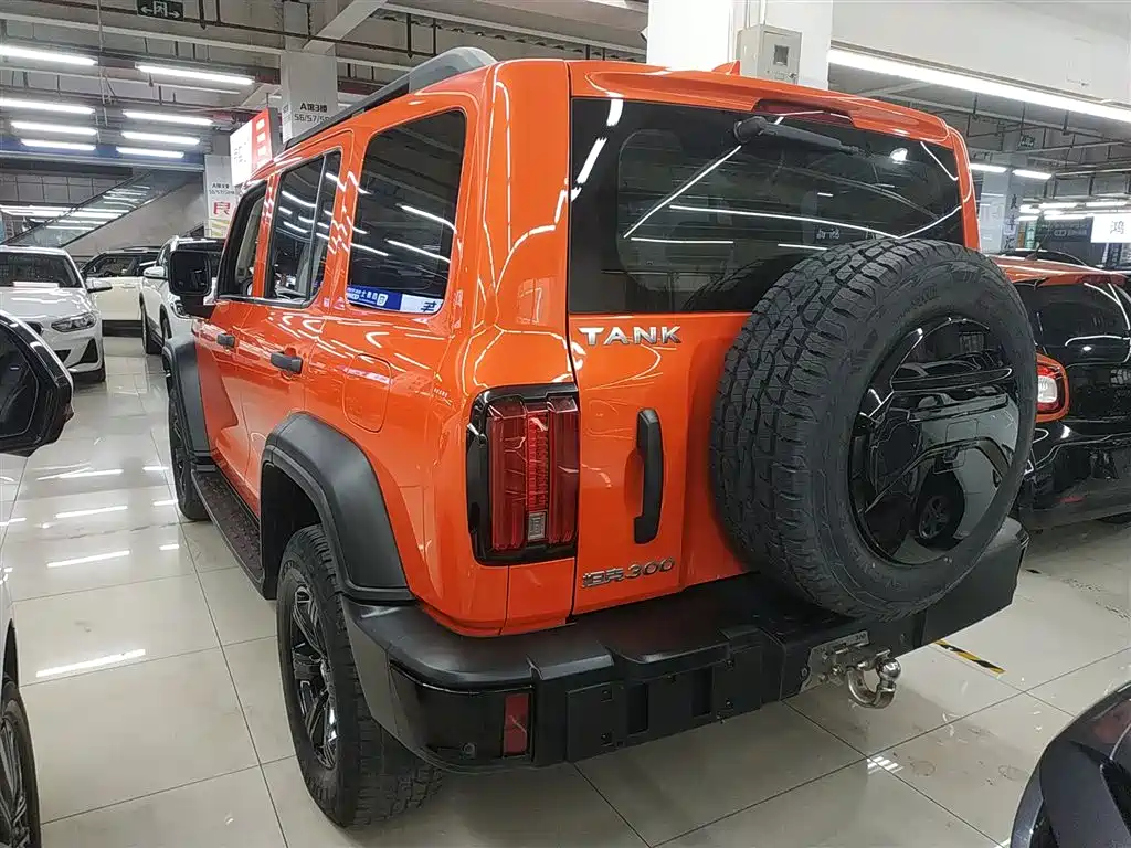 Tank 300 2021 Off-road Version 2.0T Conqueror фото 23