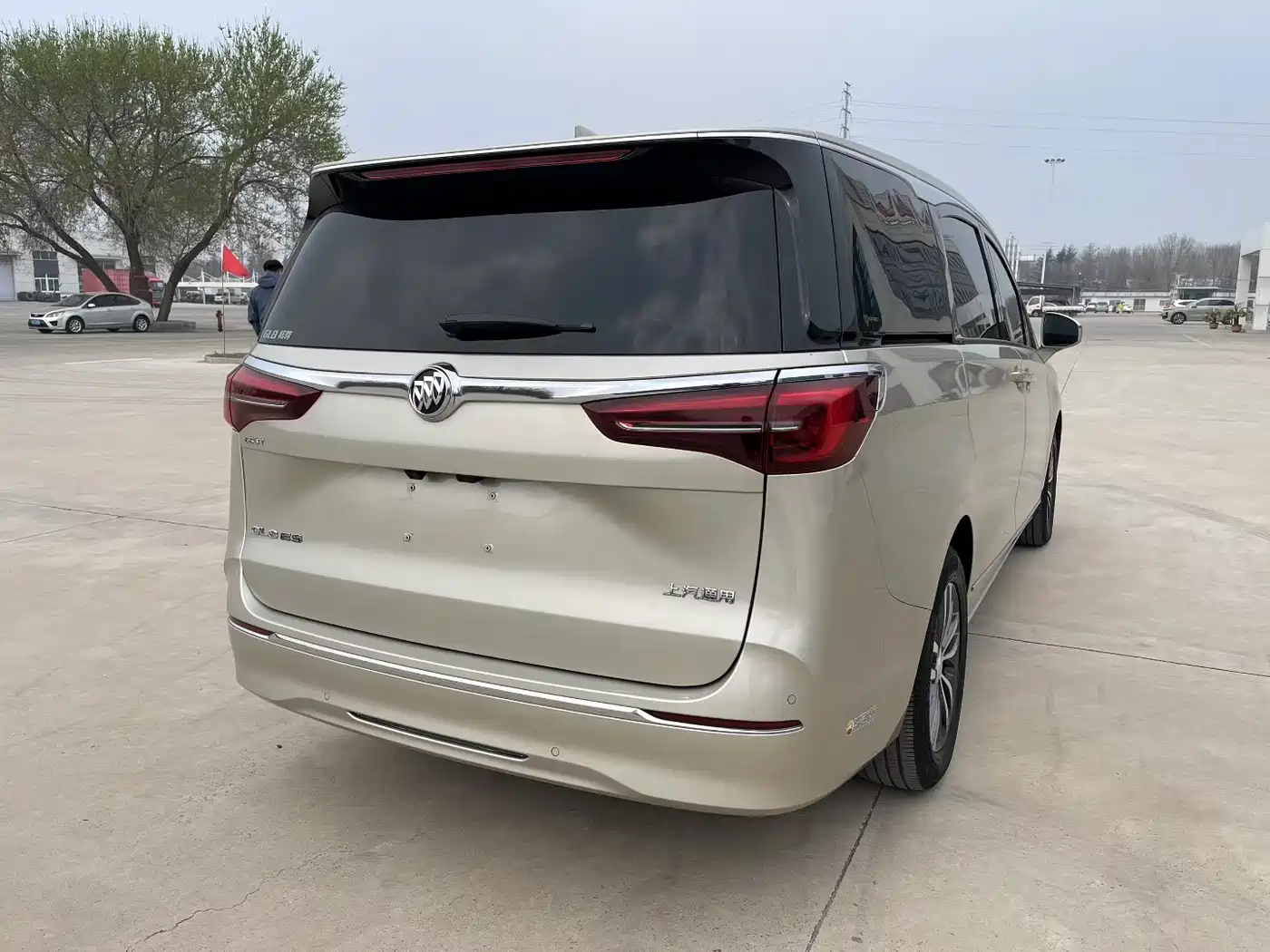 Buick GL8 2021 ES Landlord 653T Premium фото 4