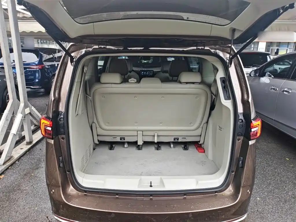 Buick GL8 2021 Land Business Class 652T Premium фото 19
