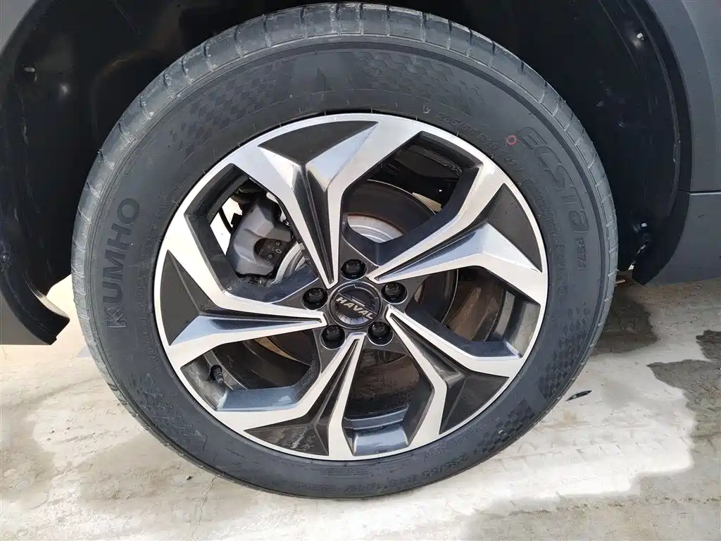Haval Shenshou 2023 1.5T Smart Enjoy Edition фото 26