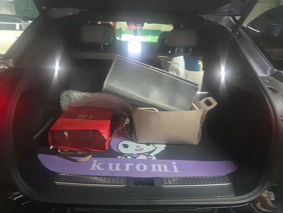 HiPhi Y 2023 2023 560km Pioneer Edition
