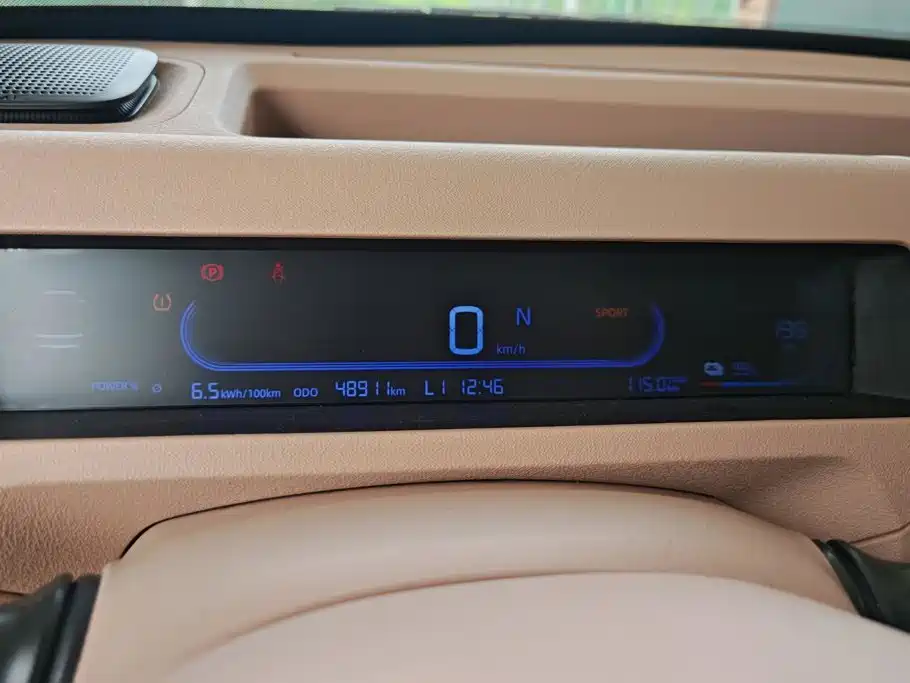  Geely Galaxy Panda 2023 Panda Mini 200km Endurance Bear 14