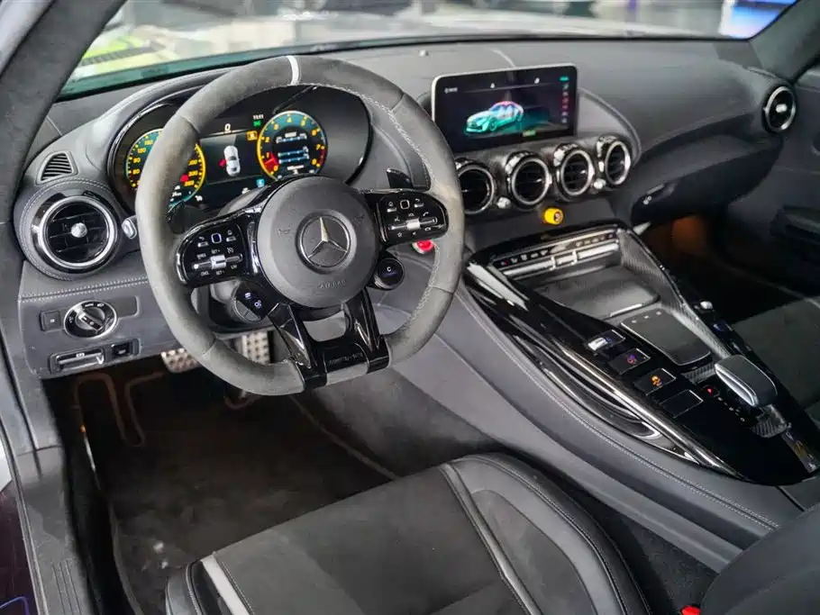 Mercedes-Benz AMG GT 2019 AMG GT R PRO фото 20
