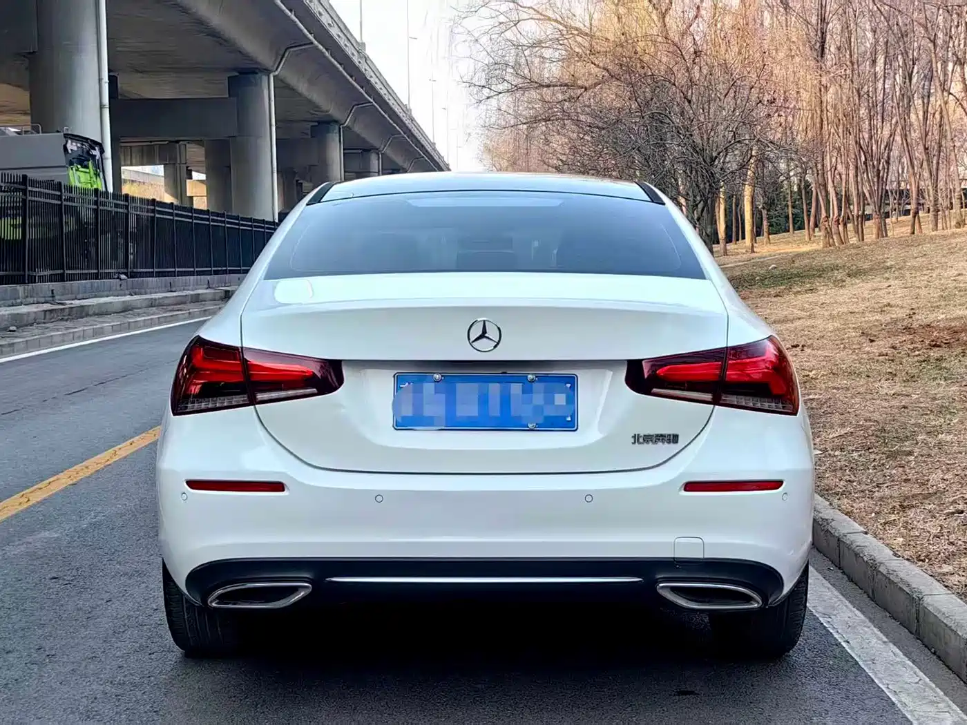 Mercedes-Benz A-Class 2019 A 200 L фото 5