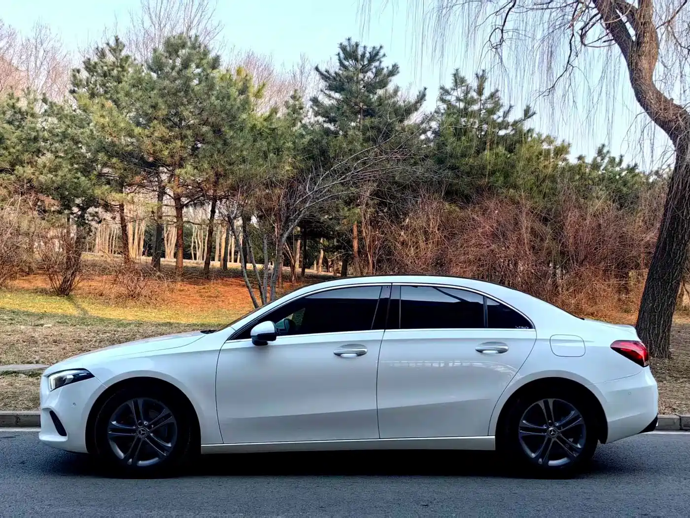 Mercedes-Benz A-Class 2019 A 200 L фото 3