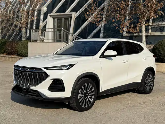 Changan Oshan X5 1.5T DCT, Премиум