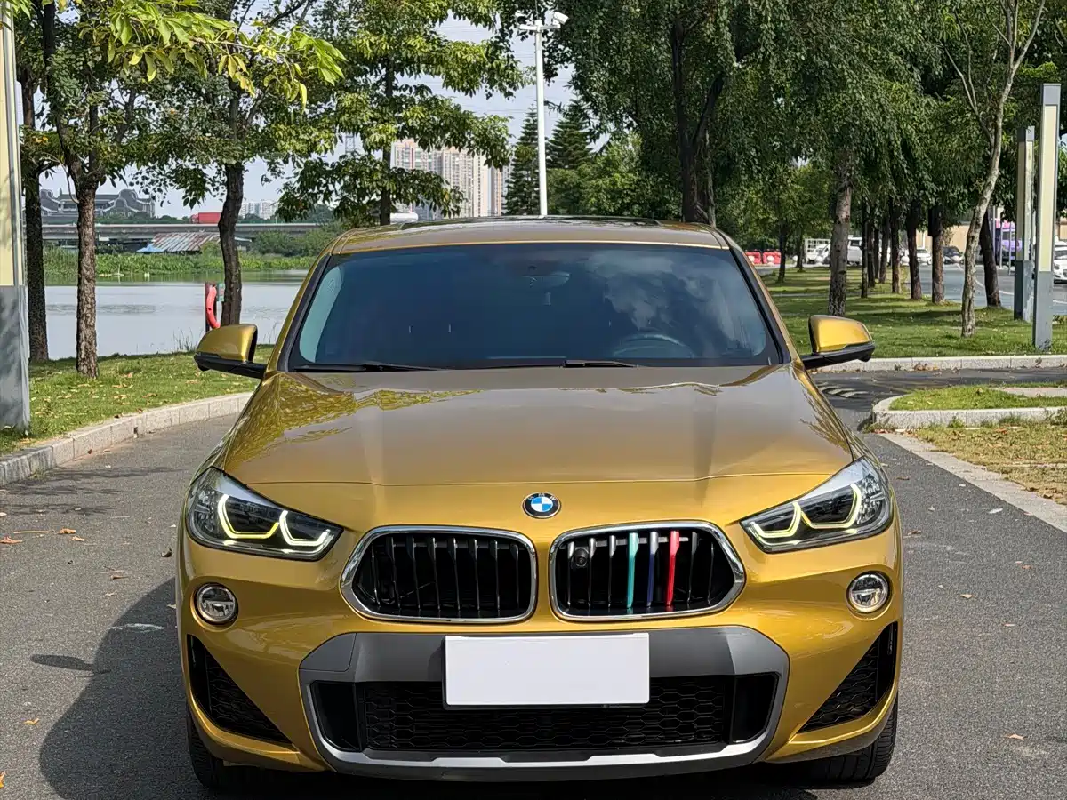 BMW X2 (Import) 2019 2019 sDrive20i M Off-Road Package China VI