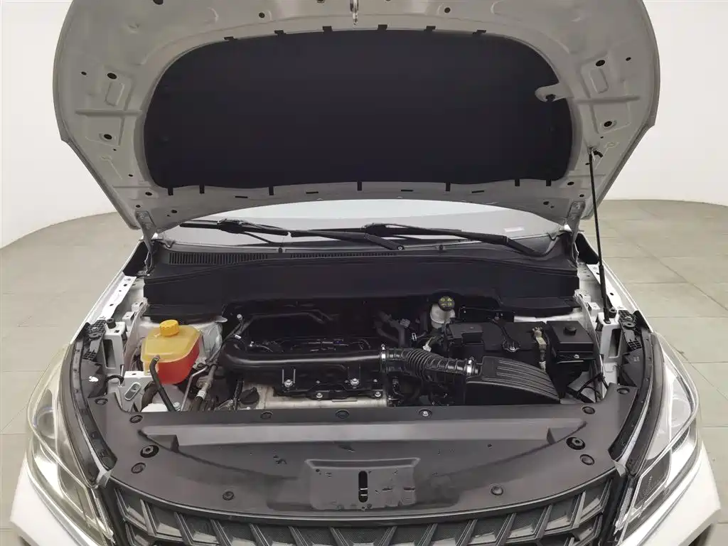 DONGFENG SCENERY 500