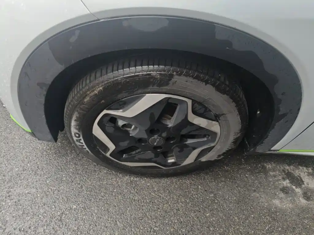 BYD Dolphin 2021 2021 405km Freedom Edition