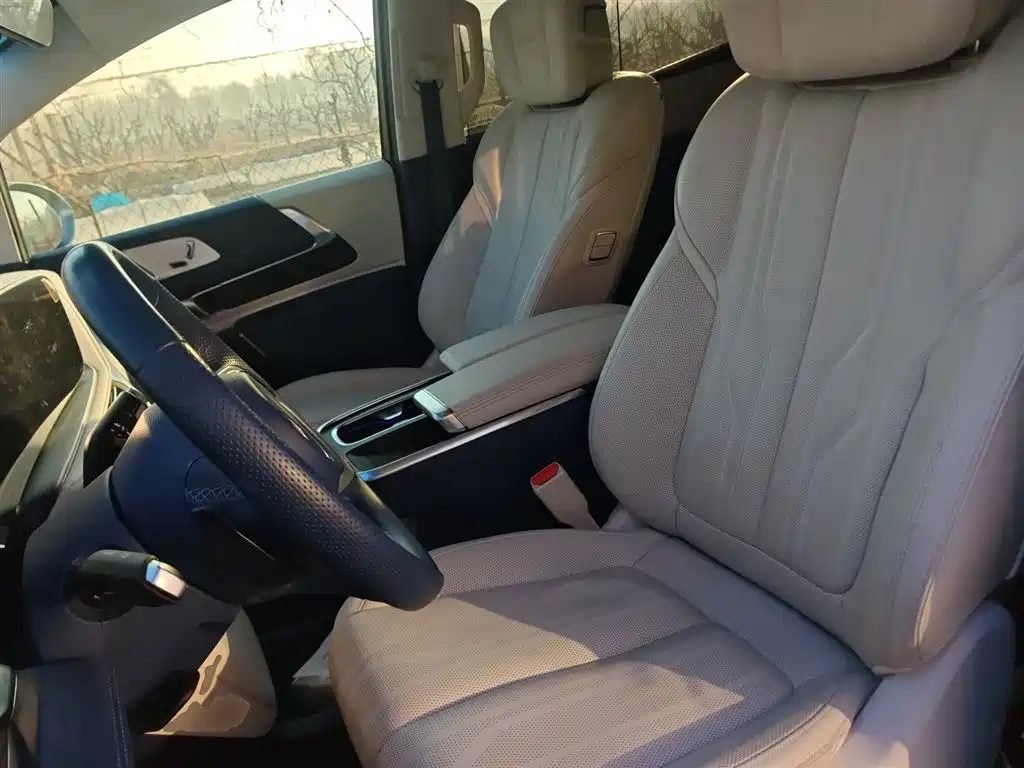Buick Century 2023 2.0T 7-Seater World Edition фото 7