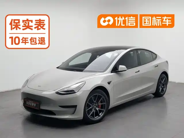 Tesla Model 3 2021 Standard Range Rear-Wheel Drive Upgrade — фото 1