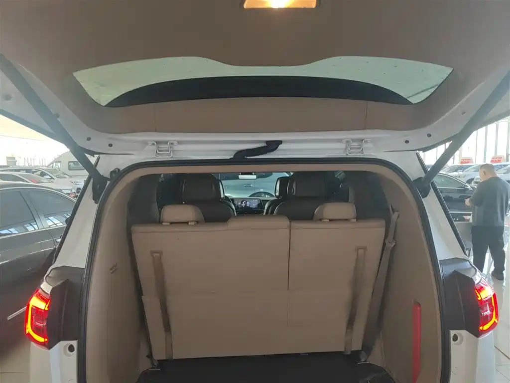 Buick GL8 2021 ES Landlord 653T Smart Flagship фото 19