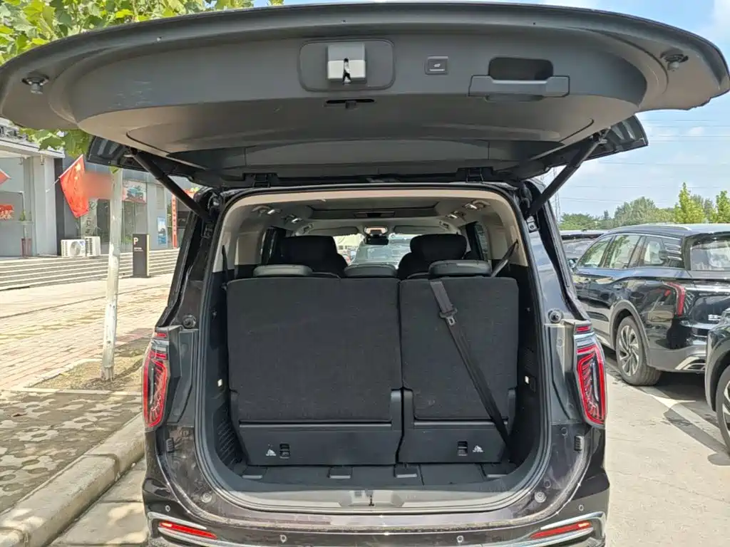 Hongqi HQ9 PHEV 2025 2024 Model 2.0T AWD Business Edition