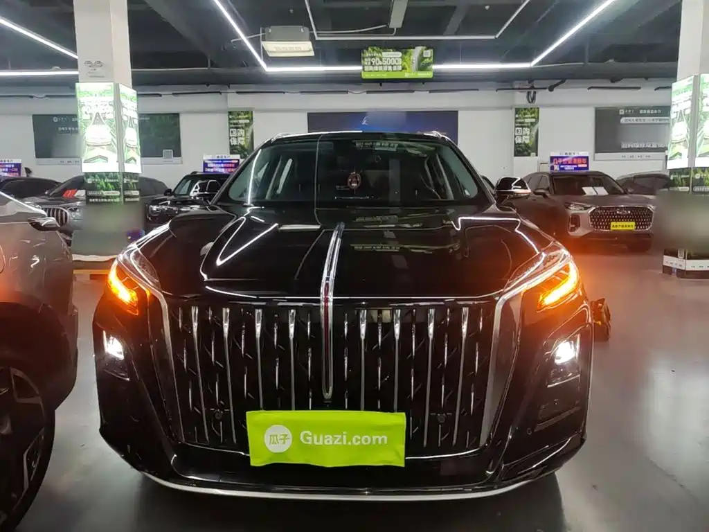 Фото 3 - Hongqi HS3