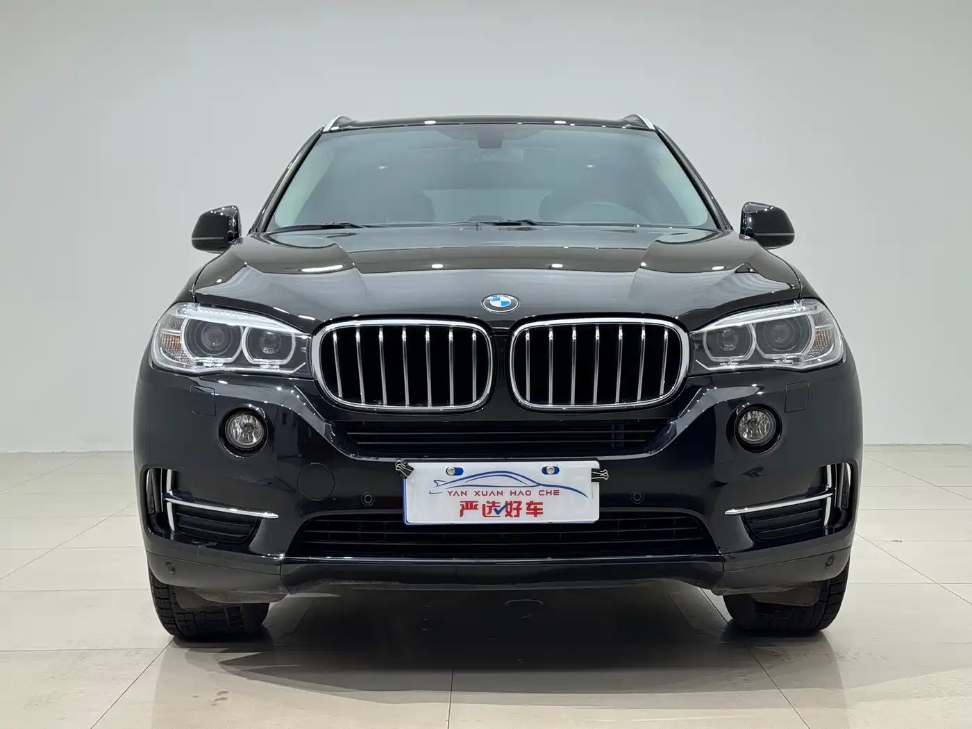 BMW X5 (Import) 2018 xDrive35i Elegant Model фото 2