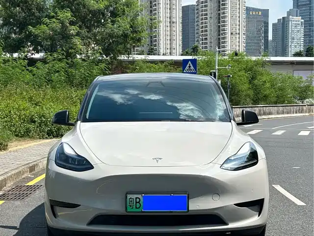 Tesla Model Y 2022 Facelift Rear-Wheel Drive Version — фото 2