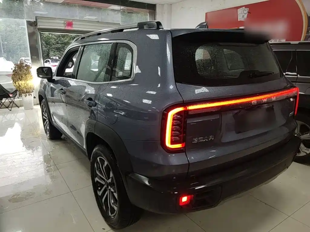 Фото 5 - Haval Dargo