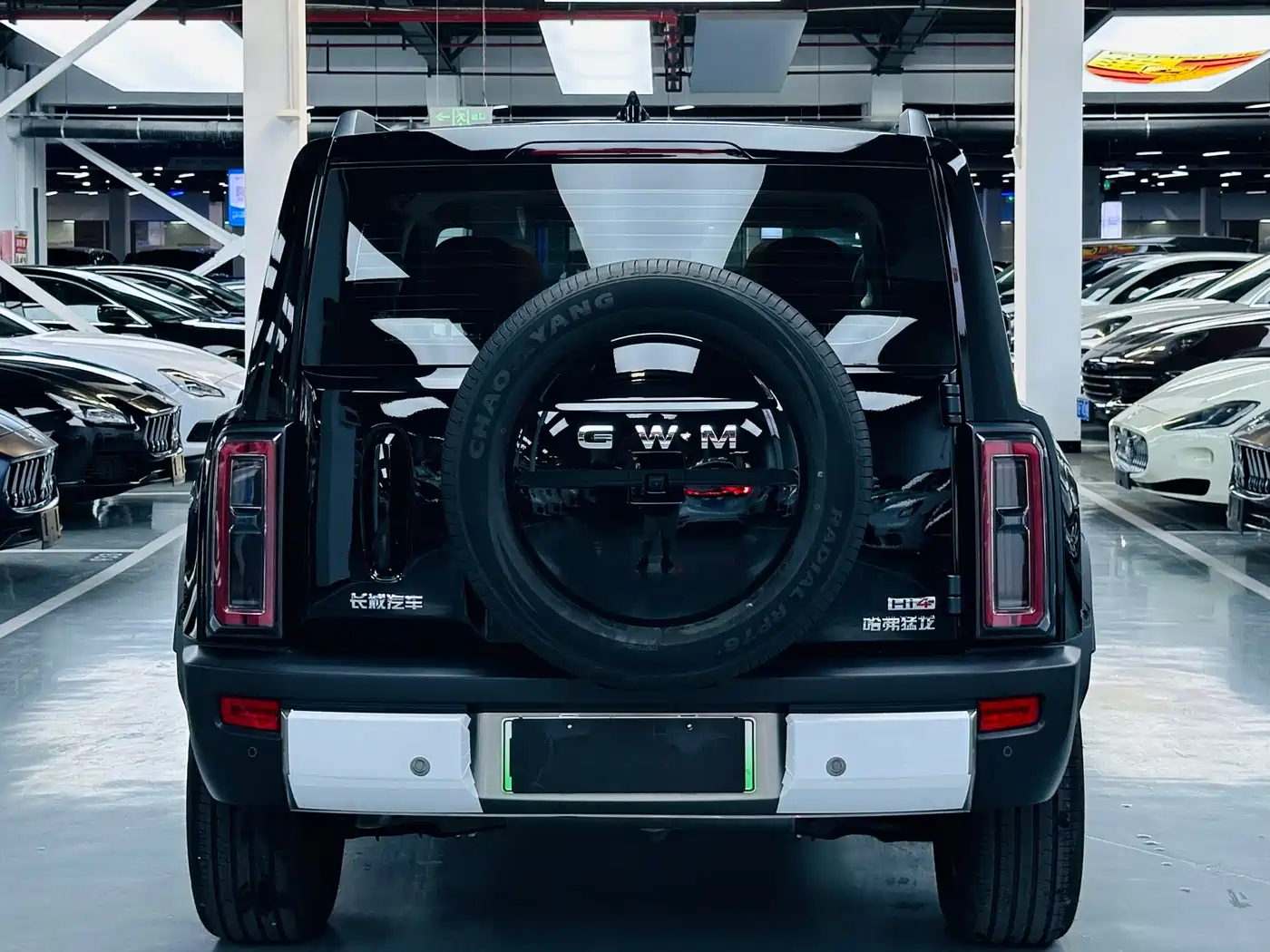 Haval Raptor 2026 2025 Model Base Version
