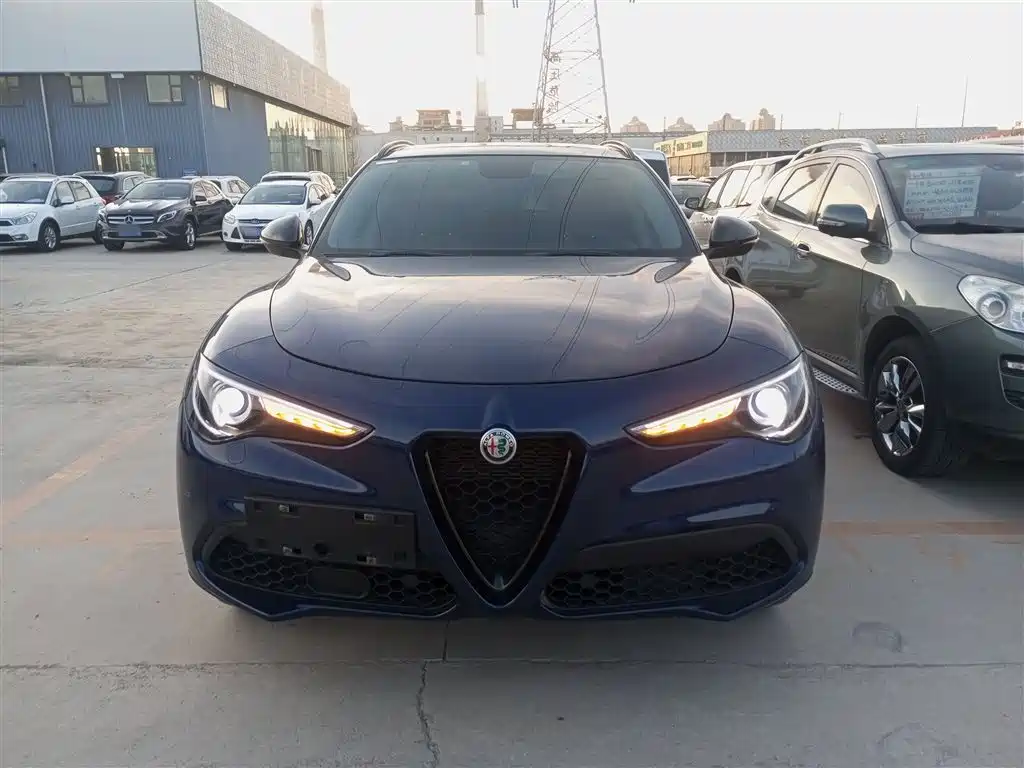 Alfa Romeo Stelvio 2020 2019 2.0T 280HP Black Package Limited Edition