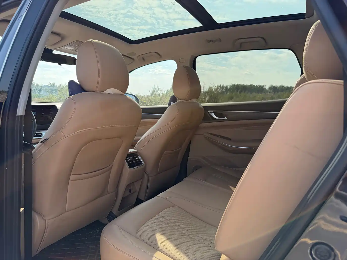 Landian E5 2024 2024 Glory Edition 100KM Premium Type 7-Seater
