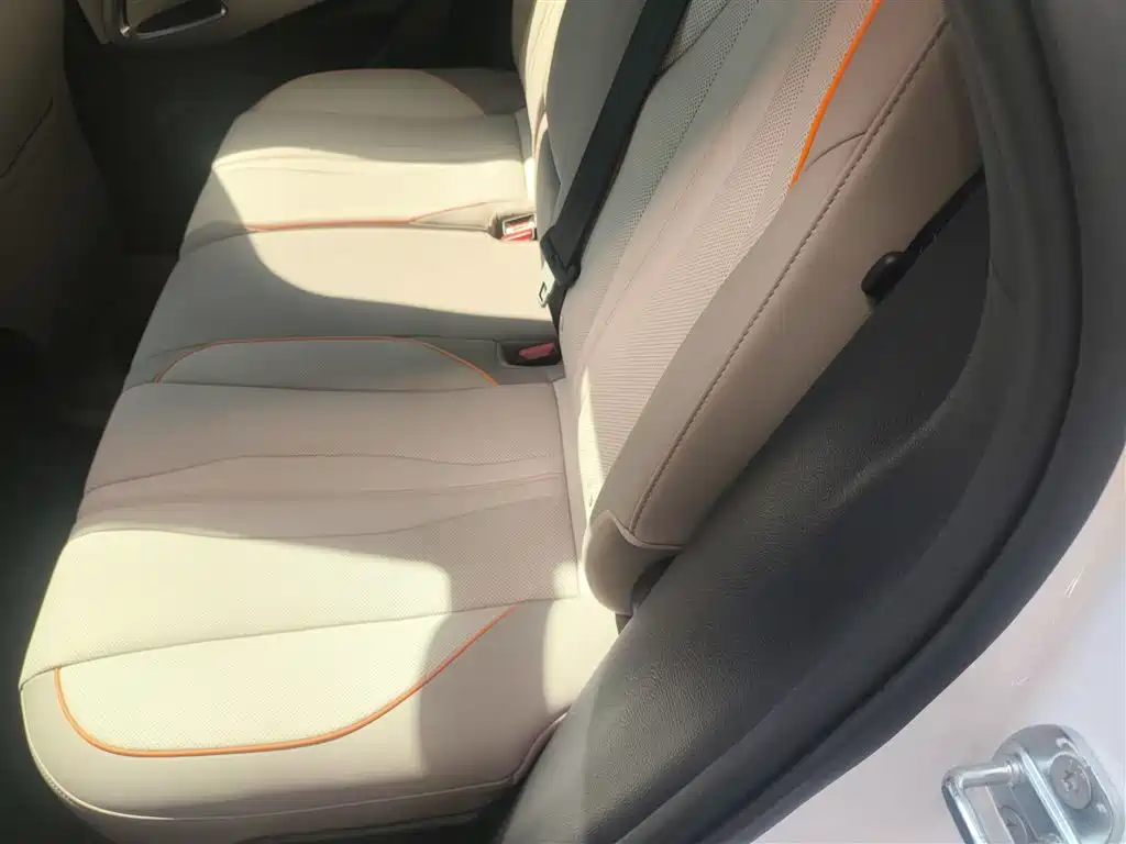 BYD Song Pro New Energy 2024 Glory Edition DM-i 110KM Excellence фото 17