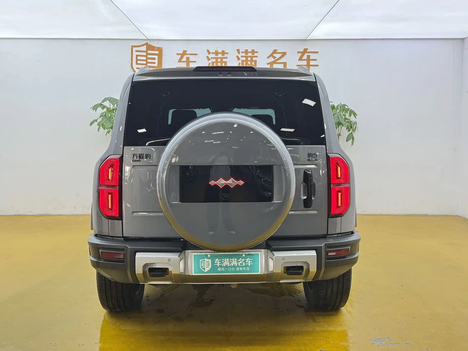 Photo 11 - Fang Cheng Bao Leopard 5