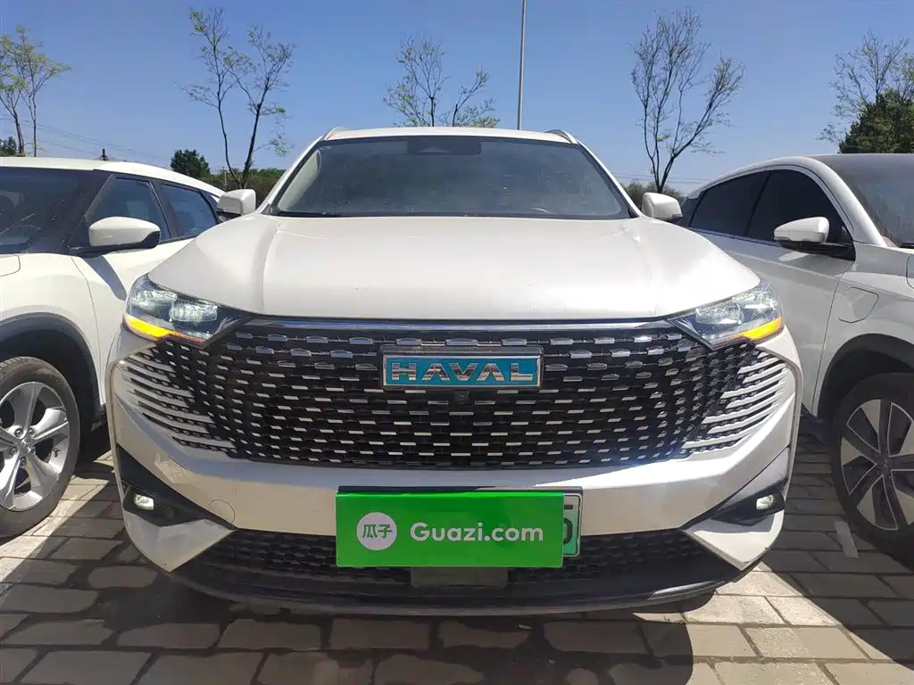 Haval H6 New Energy 2023 DHT-PHEV 110KM Joy Ride Edition фото 3
