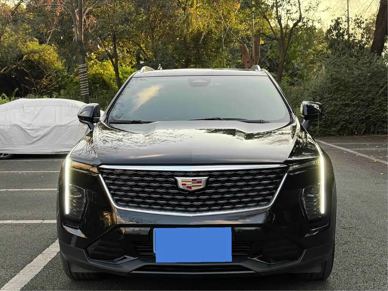 Cadillac XT4 2024 28T 2WD Luxury фото 2