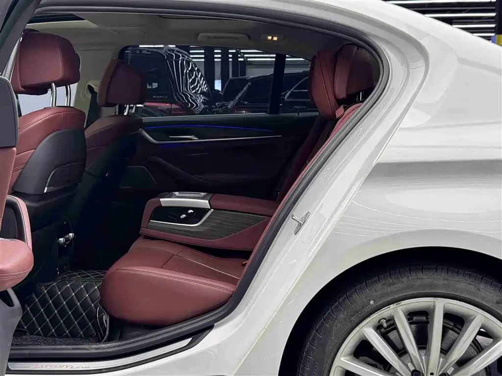 BMW 5 Series 2021 530Li Premium Luxury Package фото 7