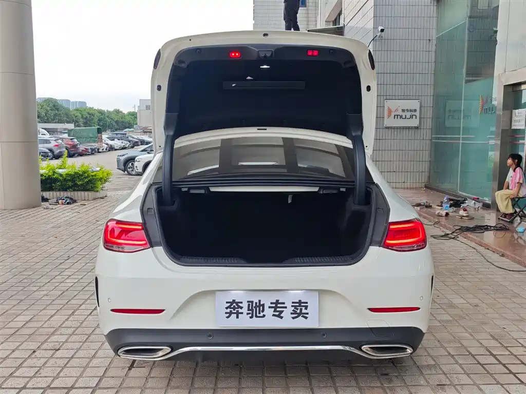 Mercedes-Benz CLS 2018 CLS 300 Luxury фото 8