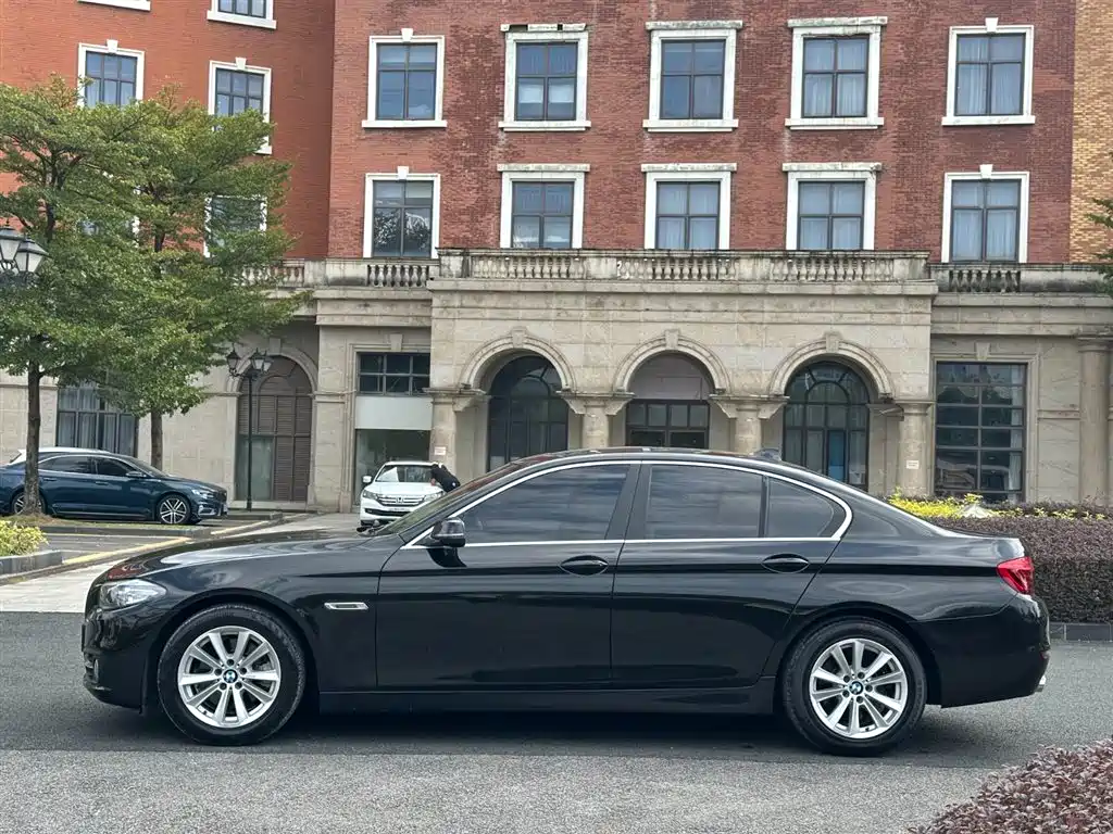 BMW 5 Series (Import) 2015 520i Elegance фото 12