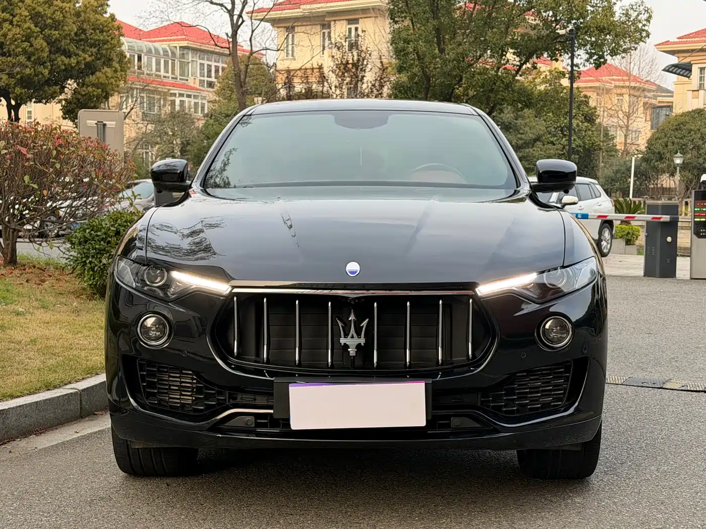 Maserati Levante 2016 3.0T Standard фото 2