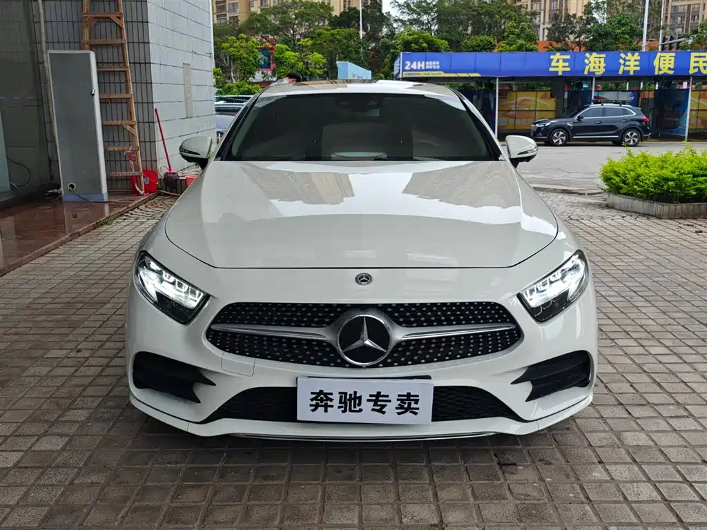 Mercedes-Benz CLS 2018 CLS 300 Luxury фото 2