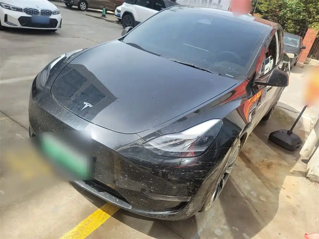 Tesla Model Y 2022 Rear-Wheel Drive Version