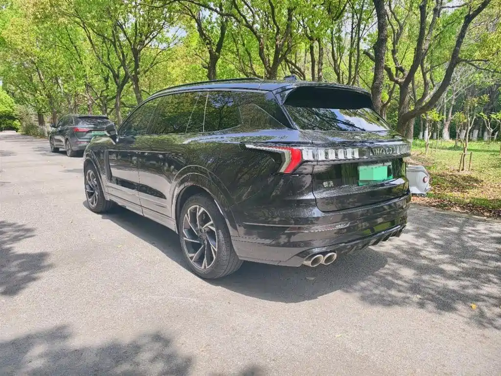 Lynk & Co 09 EM-P 2021 2.0T PHEV Halo 6-seater фото 6
