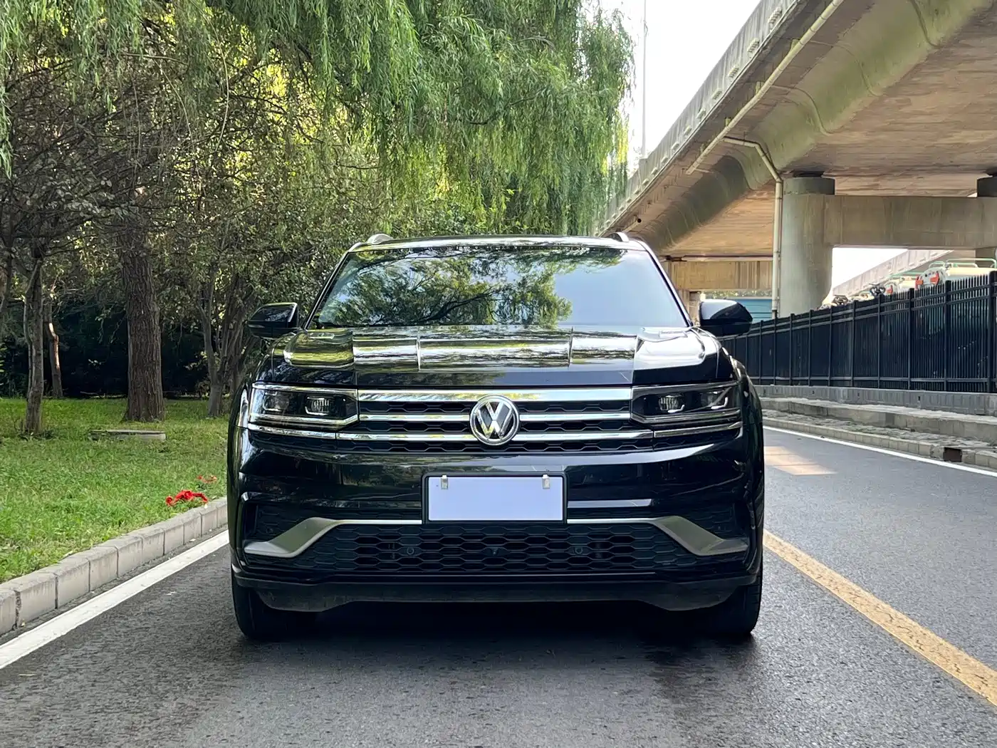 Фото 2 - Volkswagen Teramont