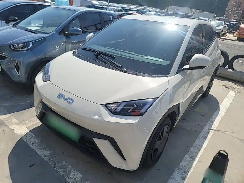 BYD Seagull 2025 305km Vitality фото 2