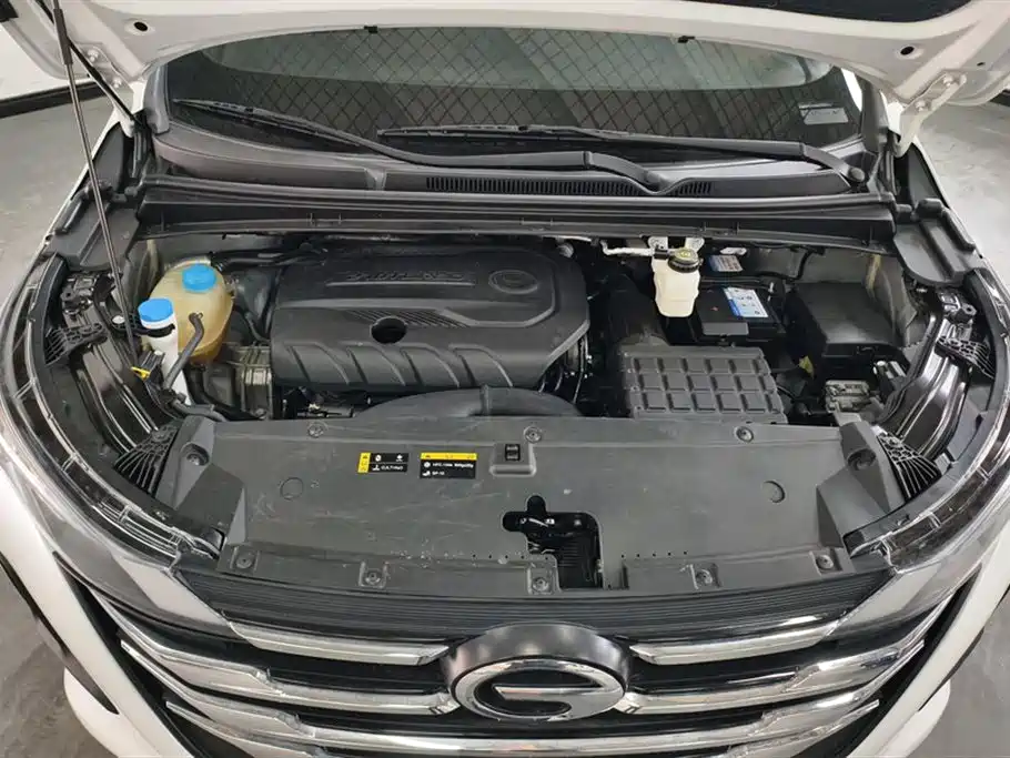 GAC Trumpchi Trumpchi M6 2021 270T DCT Elite Edition (7-Seater) фото 10