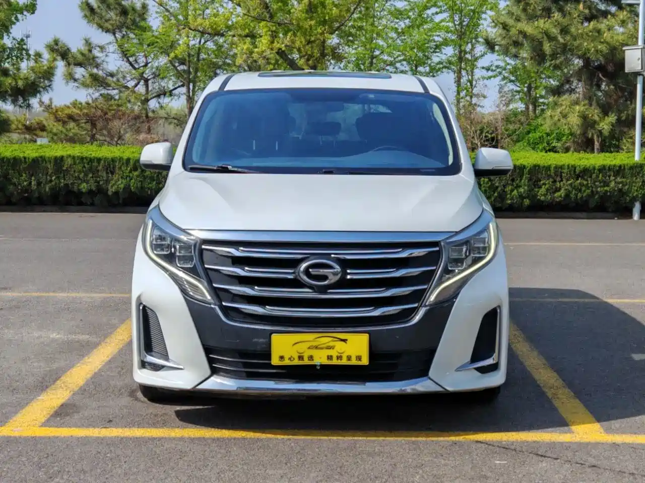 GAC Trumpchi Trumpchi M8 2020 Pilot 390T Premium Edition фото 2