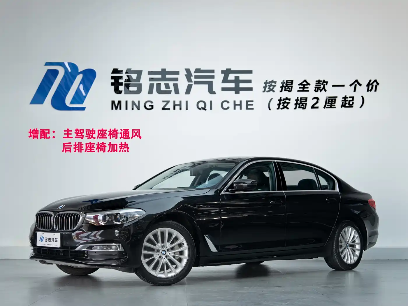 BMW 5 Series 2019 530Li Leading Luxury Package