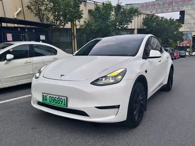 Tesla Model Y Увеличенный запас хода, полный привод