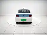 Photo 6 - Ora Black Cat
