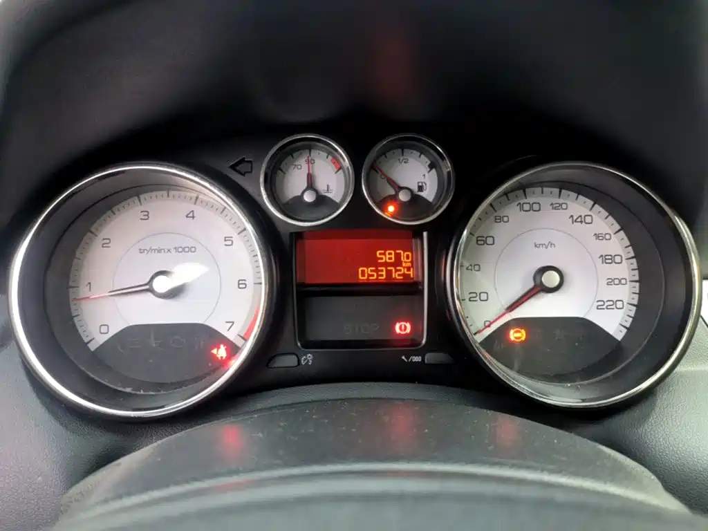 صورة 12 - Peugeot 308