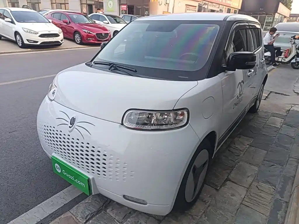 Ora White Cat 2020 2020 401km Long Range Model