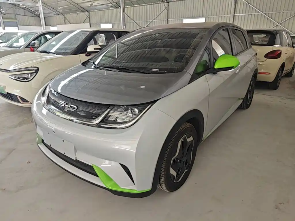 BYD Dolphin 2021 Model 405km Fashion Edition