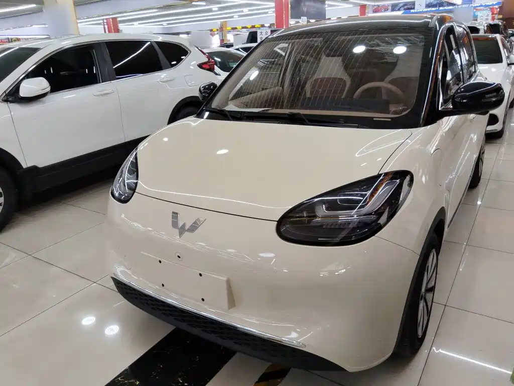  Wuling Motors Wuling Bingo 2025 Model 333km Smart Premium